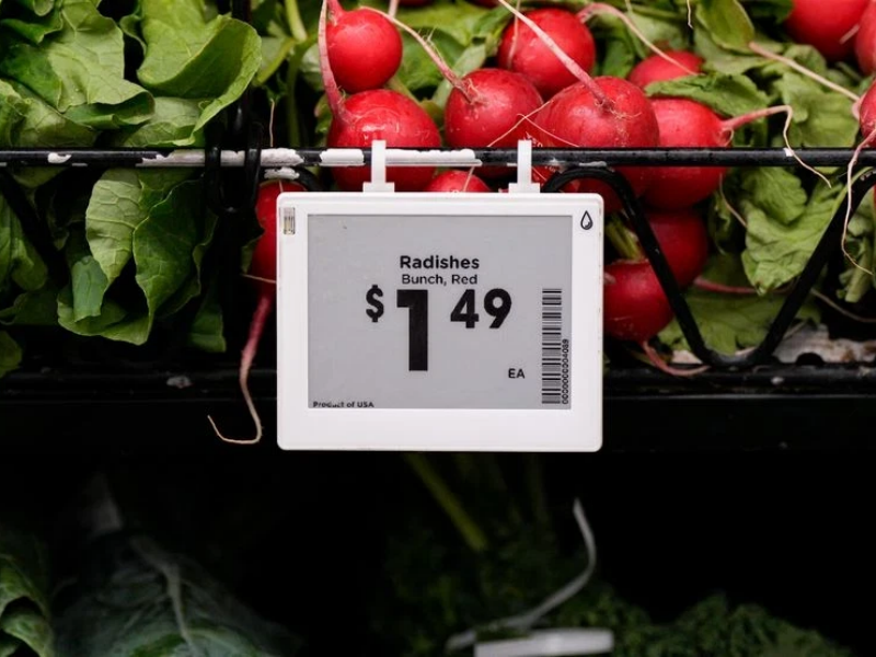 info-800-600 info-800-600